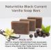 Buy Black Currant Vanilla Soap Bar - Vegan All-Natural Handcrafted with Organic Oils - Face & Body Soap for Everyone - Made in USA (3 Bars 4 oz each - Buy Online on GoSupps.com