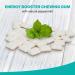 ChooChoo Gum Energy Vitamin Gum Natural Peppermint for Fresh Breath  - Natural Peppermint - 60 piece - Buy Online on GoSupps.com