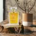Hair Perfume Hair Fragrance Essential Oil for Women with Pheromone Fast Hair Odors Remove Perfume Hair Hydrating and Shine Spray - Buy Online on GoSupps.com