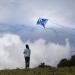 Dragon Kite for Kids & Adults - Easy-to-Fly Delta Beach Kite with 300ft String | Ice-themed Design - Buy Online on GoSupps.com