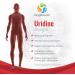 Uridine Monophosphate 300mg - Choline Enhancer for Memory & Brain Function - 120 Capsules - Made In USA - Buy Online on GoSupps.com