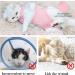 HACRAHO Cat Professional Recovery Suit 1 Pack Pink E-Collar Cat Wound Surgery Recovery Suit Soft Breathable Cat Recovery Clothes After Surgery Wear for Cats Kitten M M Pink - Buy Online on GoSupps.com