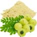Amla Powder | Gooseberry | Dry Hog Plums (Naturally Grown) premium quality by Masala Cottage 25g-1.9kg (25g) - Buy Online on GoSupps.com
