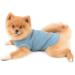 Paidful Soft Cotton Vest T-Shirt for Small to Medium Dogs & Cats - Summer Sleeveless Breathable Puppy Clothing - Blue XXL (Back Length: 40cm Bust: 52cm) - Buy Online on GoSupps.com