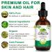 Green Arabica Coffee Oil - 100% Pure & Natural for Face&Body&Hair | Green Coffee Bean Oil Enhance Firmness & Elasticity | Daily Skincare Essential Oils for Skin Deep Nourishment & Hydration - 60ml - Buy Online on GoSupps.com
