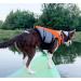 Vivaglory Ripstop Dog Life Jacket | Superior Buoyancy, Rescue Handle | Bright Orange, Size L 26-31 - Buy Online on GoSupps.com
