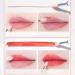 Silicone Lip Brush Applicator - Reusable Lip Applicator Portable Silicone Lip Brush Lip Gloss Balm Applicator Eyeshadow Lip Scrub Brush Applicator Lip Applicators - Buy Online on GoSupps.com