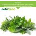 Buy Saw Palmetto (Serenoa Repens) 150g | 300 Vegan Tablets | Natural Dietary Supplement for Wellness - Buy Online on GoSupps.com