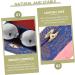 Clispeed Baoding Balls Set - Stainless Steel Hand Training & Massage Toy | 4.5cm Marble Baoding Balls for Fitness & Relaxation - Buy Online on GoSupps.com