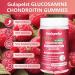 2 Packs 3000MG Glucosamine Chondroitin Gummies - Extra Strength Joint Health & MSM Elderberry Natural Joint Support Supplement Flexibility Antioxidant Immune Support for Adults 120 Gummies 60 Count (Pack of 2) - Buy Online on GoSupps.com