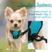Rabbitgoo No Pull Dog Harness for Small Dogs - Adjustable Breathable Safe Blue-Green XS (1 Pack) - Perfect for Training & Cuddling - Buy Online on GoSupps.com