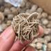 FACSER Natural Crystal Rough Natural Crystal Rough Natural Desert Rose Raw Crystal Stone Decor Home Decoration (Size : 60-80g)
