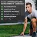 Pomona Wellness Magnesium Supplement 500mg - Supports Healthy Bones, Sleep, Muscles & Teeth - Boosts Energy & Relaxation - Non-GMO Vegan - 60 Capsules - Buy Online on GoSupps.com