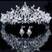 mesfugw White Tiaras and Crowns for women Pageant Crowns for Women and Girls Crown with Earring Princess Crown Pageant Tiara Princess Tiara and Crown for Women Girls White with gift box packing