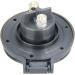Pactrade Marine Boat Heavy Duty Covered Plated Brass Windlass Foot Switch 4 Diameter - Buy Online on GoSupps.com