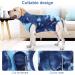 Recreational Suit for Dogs | Wound Protection for Puppies & Post-Op Recovery | Prevent Licking for Small Medium & Large Dogs - Buy Online on GoSupps.com