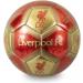 Liverpool Signature Football Size 5 - Official Soccer Ball for Fans | Shop Worldwide Shipping - Buy Online on GoSupps.com