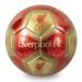 Liverpool Signature Football Size 5 Single
