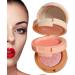 er Palette 3-Colored Powder | Multi-Layer Facial Pressed Powder Cheek Matte Mineral Blendable Long-Lasting All-Day Fanelod 1# Moonlight Mermaid - Buy Online on GoSupps.com