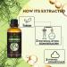 Organic Tea Tree Essential Oil for Cleansing Breakouts & Dandruff - 100% Pure & Natural for Skin, Hair, and Diffuser - Buy Online on GoSupps.com