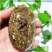 Natural Crystal Rough Natural Stone Beautiful OceanJasper Palm Stone Feng Shui Exorcism Crystal Home Decoration (Color : 160-170g Size : 1pc) 1pc 160-170g - Buy Online on GoSupps.com