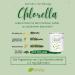 Chlorella Powder from Germany - Pure Raw Vegan Green Algae | 650g Chlorella Vulgaris Rich in Vitamin B12 & Iron | Pureeraw - Buy Online on GoSupps.com