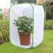 Kisbeibi Translucent Insect Cage Net Butterfly Habitat Cage Plant Greenhouse Tent Foldable Protective Cage Butterfly Garden (Size: M 15.74 x 15.74 x 23.62 inches) m 15.74x15.74x23.62 zoll - Buy Online on GoSupps.com
