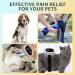Red Light Therapy for Dogs Cold Laser Therapy Device for Pet Infrared Light Therapy Vet Device for Dog Arthritis Pain Relief Clear Cats Skin Infections with 2 Therapy Modules Black a - Buy Online on GoSupps.com