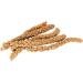 Living World 82476 Spray Millet for Birds 200gm 7-Ounce 200 g (Pack of 1) - Buy Online on GoSupps.com
