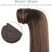WENNALIFE Ponytail Extension Human Hair 18 Inch 80g Balayage Dark Brown Mixed Chestnut Brown In Ponytail Hair Extensions Wrap Around Real Hair Ponytail Extension Hair Pony Tails Extensions Hairpieces 18 Inch-80g #2/6/2 Dark Brown Mixed Chestnut Brown - Buy Online on GoSupps.com