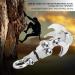 Cocosity Outdoor Gravity Hook - Foldable Climbing Grab Hook for Survival & Adventure Buy Internationally - Buy Online on GoSupps.com