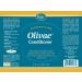 Olivae Organic Olive Oil Conditioner - Nourishing Botanical Hair Care for Healthy Follicles & Scalp | 8 oz - Buy Online on GoSupps.com