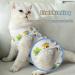 CLLRYBO Katzenbody for Cats - Post-Surgery Medical Shirt | Hippo Design | M Size Recovery Suit - Buy Online on GoSupps.com
