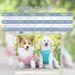 Dog Cooling Vest | Breathable Mesh Jacket for Summer | Comfortable XXL Blue Dog Coat - Buy Online on GoSupps.com