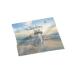 Urban Backwoods Ameowzing Cat Microfiber Cloth Glasses Cleaning Cloth