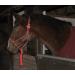 Gee Tac Hi Viz Natural Horsemanship Rope Halter Head Collar RED - Buy Online on GoSupps.com