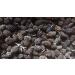 alder cones - alder cones 500 pieces ( 200 grams) healthy water fish and shrimp - Free Shipping