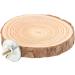 Round Wooden Springboard Parrot Perch Stand Toy - Small Parakeets, Cockatiels, Hamster (6cm) - Buy Online on GoSupps.com