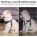 Rennaio No Pull Dog Harness & Adjustable Puppy Leash Set | Ultra Breathable Padded Breast Dishes for Small & Medium Dogs (Black S) - Perfect for International Shipping - Buy Online on GoSupps.com