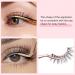 ALLOVE Cluster Lash Applicator Tools - 2 Pieces for DIY Lash Extensions & Easy Eyelash Placement | Curved Tools for Strip Lashes & Cluster Removal - Buy Online on GoSupps.com