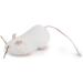Petlinks Refillable Catnip Toys for Cats & Kittens - Set of 3 Fun & Stimulating Play - Multiple Styles in White, Brown, Grey - Buy Online on GoSupps.com