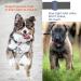 Silicone Holder for Airtag Dog Collar | Lightweight Waterproof Case for Airtag Pet Accessories - Black - Buy Online on GoSupps.com