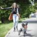 Petcute XL Brown Metal Dog Muzzle - Durable Safety Muzzle for Biting Barking & Eating | International Shipping - Buy Online on GoSupps.com
