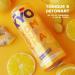 KYO Set of 8 Kombucha Organic Lemon Ginger Cans - Sparkling - Low Sugar - Alcohol Free and Artisan - Buy Online on GoSupps.com