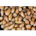 Buy Jr Farm Garden Squirrel-Crack 250g - Premium Treats for Happy Healthy Squirrels | Fast International Shipping - Buy Online on GoSupps.com