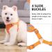 Rennaio Adjustable No-Pull Dog Harness & Leash Set - Ultra Breathable Padded Harness for Small & Medium Dogs (Pumpkin XL) - Perfect Puppy Dishes with Linen Clips - Buy Online on GoSupps.com