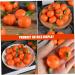 TOYANDONA 10pcs Simulated Fruit Orange Toys Models Artificial Fruits Scene Layout Prop Photo Prop Orange Cabinet Orange Decor Lifelike Orange Model Scene Adornment Modeling Tangerine Pvc - Buy Online on GoSupps.com