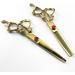 JIESENYU Professional Hairdressing Scissors Barber Hair Cutting Scissors/Shears 6 inch Stainless Steel shears (Gold) - Buy Online on GoSupps.com