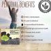 Apexy Premium Dried Black Fungus (Wood Ear Mushroom) - 8.8 Oz - All Natural & Compressed - 10x Volume Yield - Pack of 1 - Buy Online on GoSupps.com