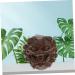 Ultechnovo Wenwan Handle: Embrace Prosperity and Happiness - International Shipping Available - Buy Online on GoSupps.com